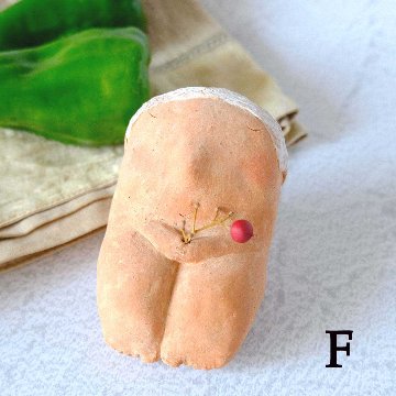 ｃｏｍｏｄｏ族の画像