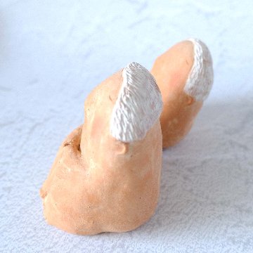 ｃｏｍｏｄｏ族の画像