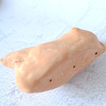 ｃｏｍｏｄｏ族の画像