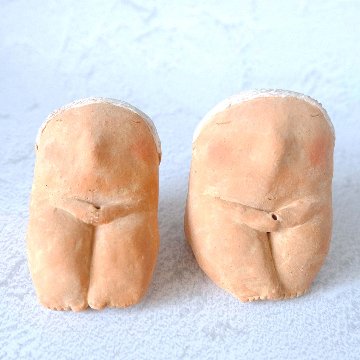 ｃｏｍｏｄｏ族の画像