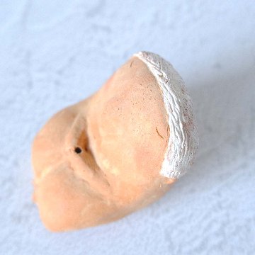 ｃｏｍｏｄｏ族の画像