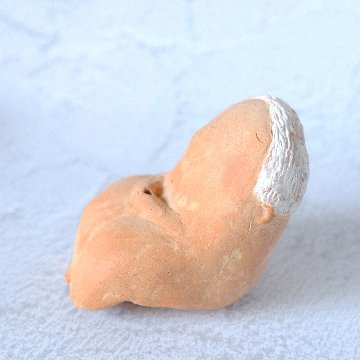 ｃｏｍｏｄｏ族の画像