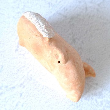 ｃｏｍｏｄｏ族の画像