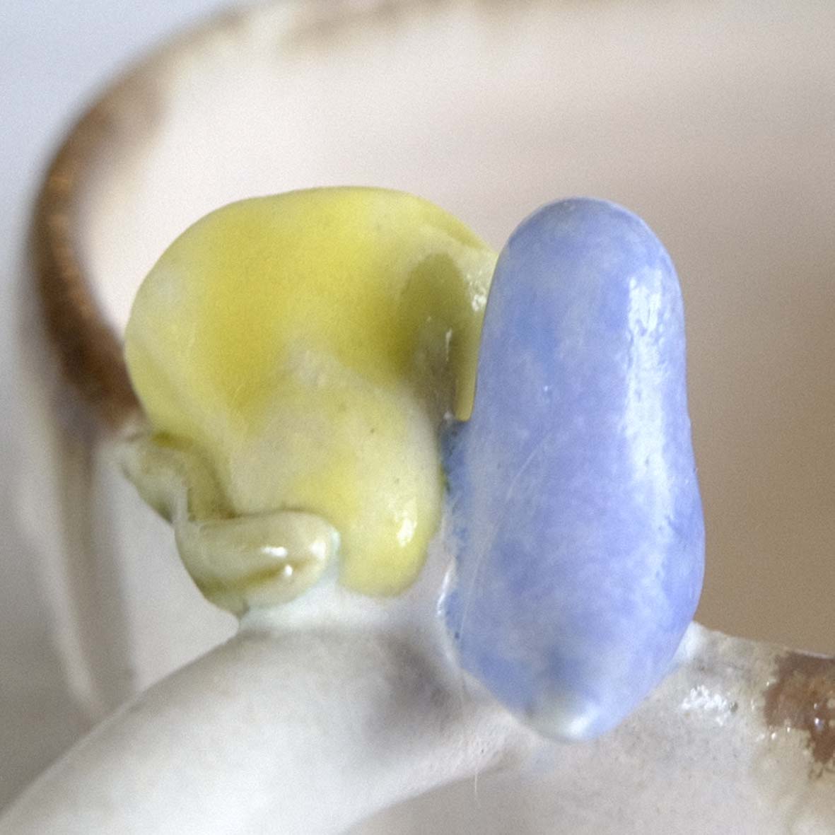 小鳥とお花のﾃｨｰｶｯﾌﾟの画像