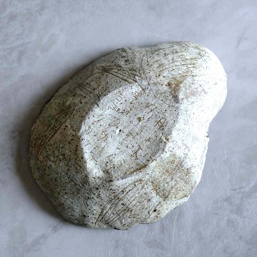 変形皿の画像