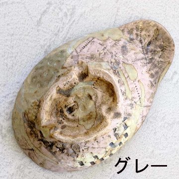 取り鉢(Rock)の画像