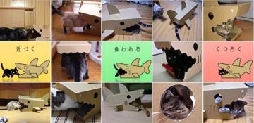 支援商品　さめハウスの画像