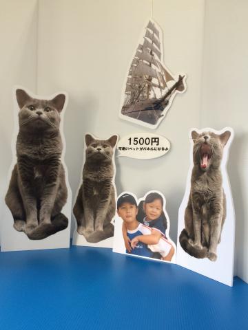 パネル加工の画像