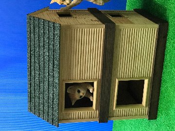 木製ハウスの画像