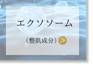 エクソソームについてはコチラ