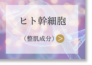ヒト幹細胞についてはコチラ