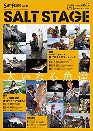 「ソルトステージvol.12」の画像