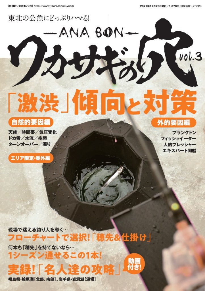 北の釣り 東北の釣り総合誌 1984-86年 23冊 北の釣り 東北の釣り総合誌 1984-86年 23冊 雑誌