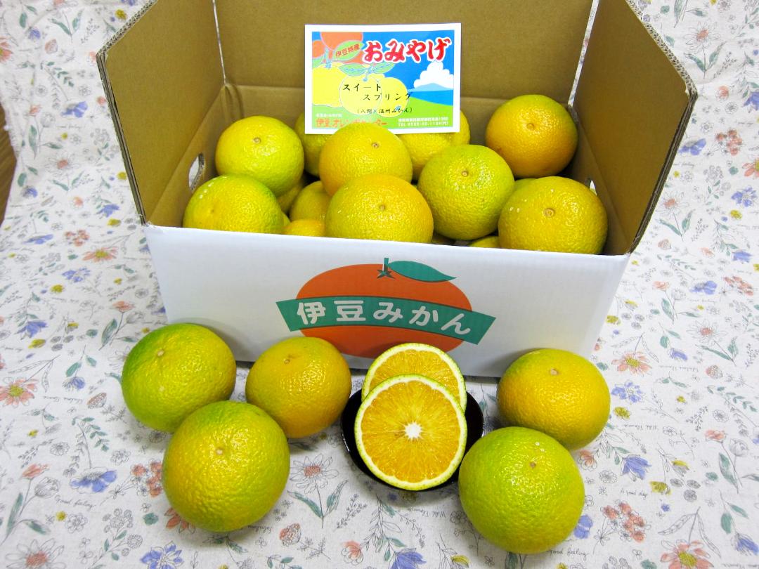 スウィートスプリング5ｋｇ箱の画像