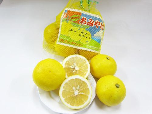 ニューサマーオレンジ1袋の画像