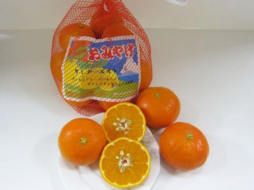 セミノールオレンジ1袋の画像