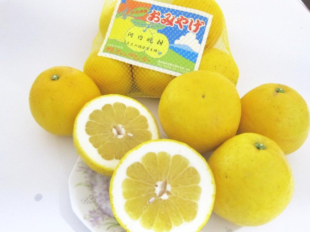 河内晩柑5ｋｇ箱の画像