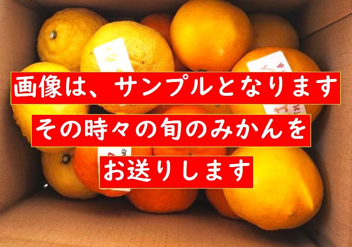 旬のみかん定期便ミニ3月～５月号の画像