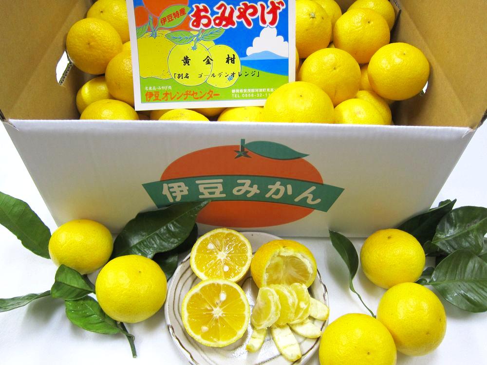 黄金柑5ｋｇ箱Mサイズの画像