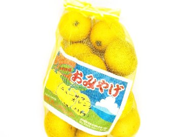 ニューサマーオレンジ早生（１袋）の画像