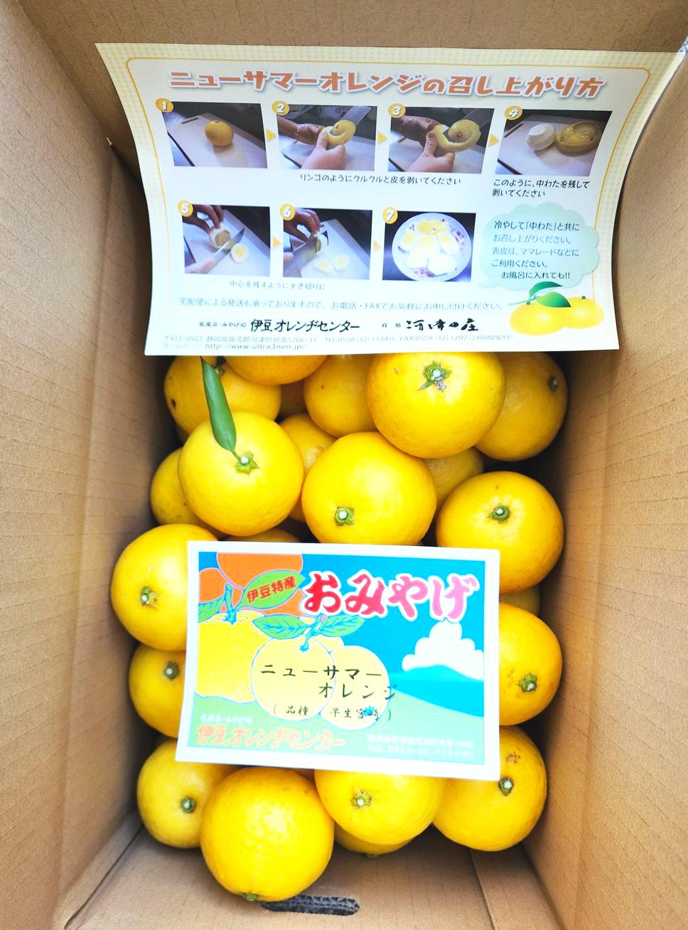ニューサマーオレンジ早生5ｋｇ箱の画像