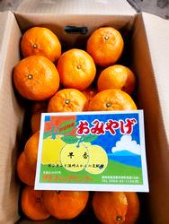 早香5ｋｇ箱の画像