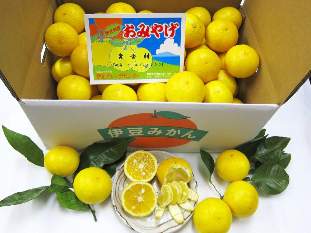 黄金柑5ｋｇSサイズの画像
