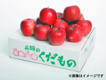 🍎おまかせ飛騨産りんご（樹上で完熟した品種）　一段中箱の画像