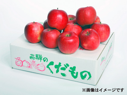 🍎おまかせ飛騨産りんご（樹上で完熟した品種）　一段中箱画像