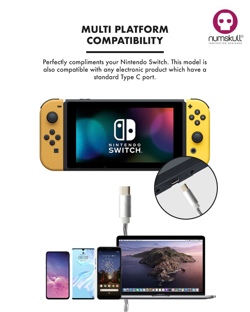 Numskull LED Flow USB C Charge Cable for Nintendo Switch画像