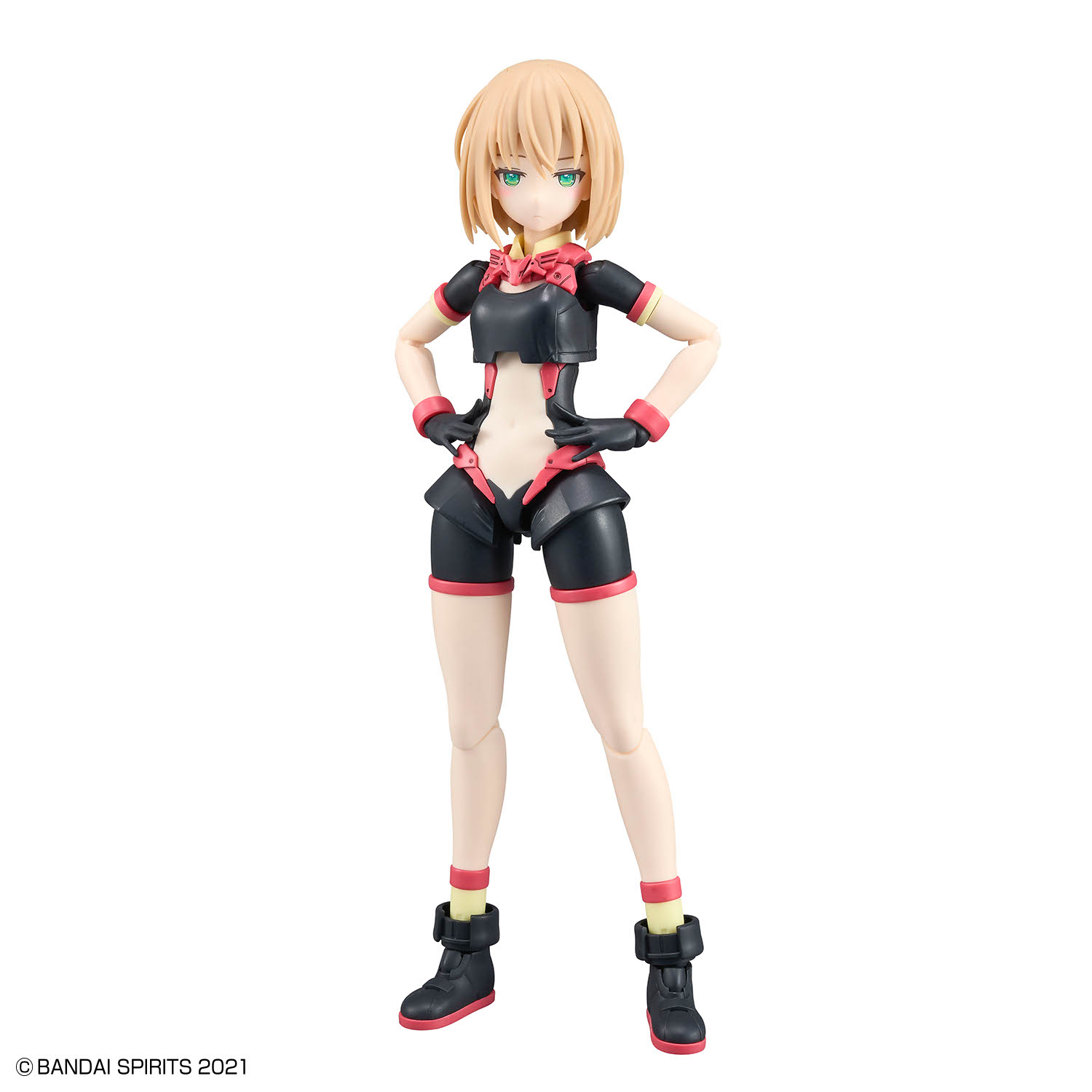 30MS ティアーシャ(ダリアウエア) カラーBの画像