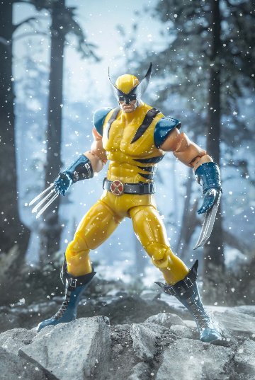 スーパーゲームズシリーズ: ウルヴァリンの画像