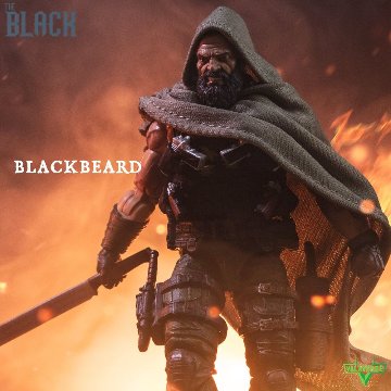 Valaverse Action Force Series The Black Blackbeard 6-Inch Action Figureの画像