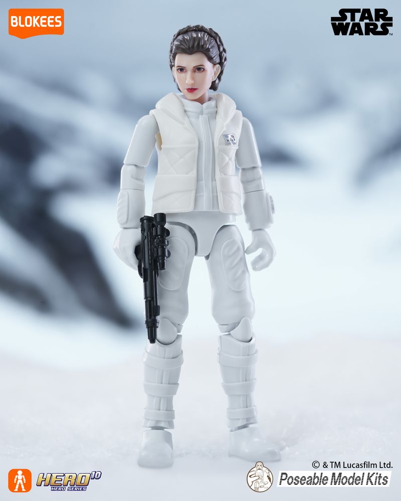 Blokees スター・ウォーズ GV02 の画像