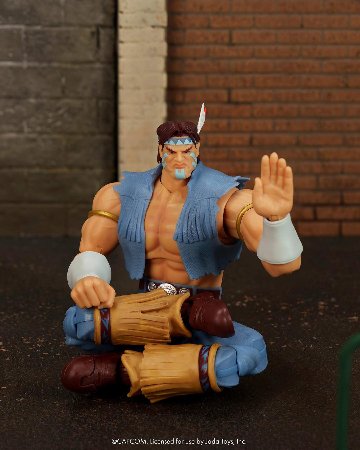 ストリートファイター２ サンダー・ホーク T. Hawk T.ホーク６インチアクションフィギュアの画像