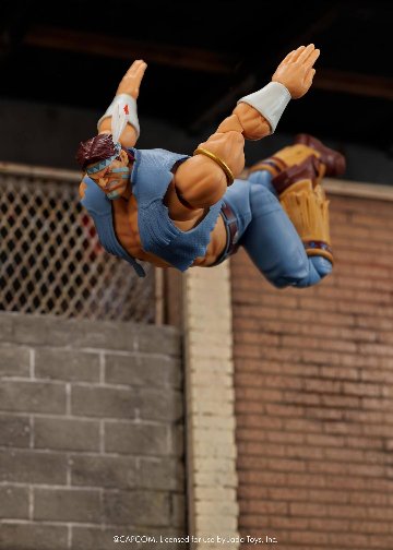 ストリートファイター２ サンダー・ホーク T. Hawk T.ホーク６インチアクションフィギュアの画像