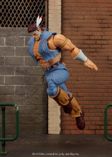 ストリートファイター２ サンダー・ホーク T. Hawk T.ホーク６インチアクションフィギュアの画像