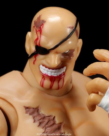 ウルトラストリートファイター II 『YOU LOSE 負け顔』アクセサリーセット 1:12スケール用 フィギュアパーツの画像