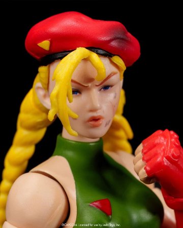 ウルトラストリートファイター II 『YOU LOSE 負け顔』アクセサリーセット 1:12スケール用 フィギュアパーツの画像