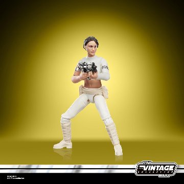 Star Wars TVC Attack of the Clones Padme Amidala(Geonosis)の画像