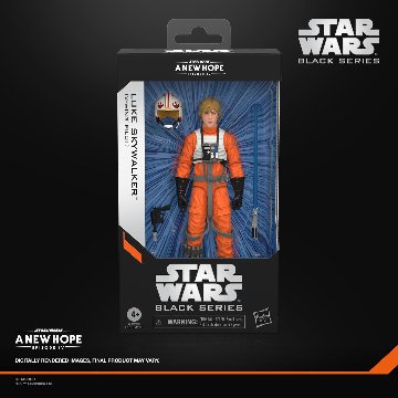 Star Wars TBS 3 Wave 8 Queen Amidala Assortment G15165L09の画像