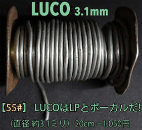 【55#】 LUCOはLPとボーカルだ! （20cm）の画像