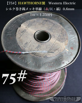 【75#】HAWTHORNE製　WE（1m）の画像