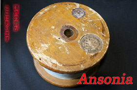 【41-3#】    ANSONIAの頂点 0.38φmm（1m）の画像