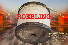 【147#】ROEBLING 0.38φ 生命力〔50cm〕の画像