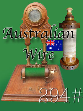 【294#】Australian　Wire　　20cm = 1.230円の画像
