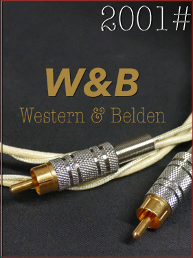 【2001#】VWD21［W&B］　1mペア =16.350円の画像