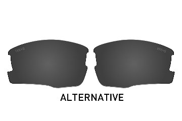 WX SAINT -ALTERNATIVE- Smoke Grey Lenses画像
