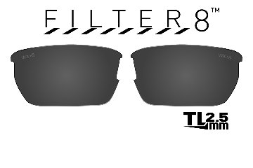WX VALOR TL FILTER8 Smoke Grey Lenses画像