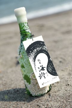 純米 海燈 -KAITEI- 四合瓶（720㎖）｜アイコム・BAY LOUNGE